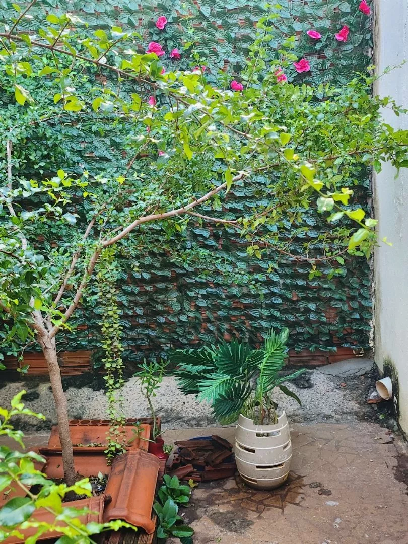 Foto de Daniela Martins