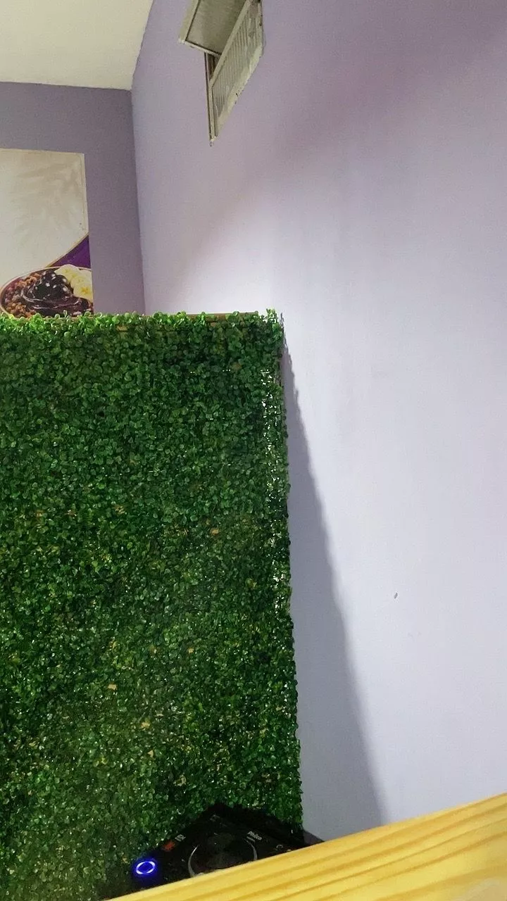 Foto de Simone Alves